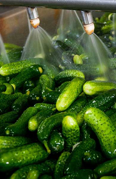 pickles - food processing - OxyChem calcium chloride